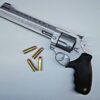 Taurus raging Bull